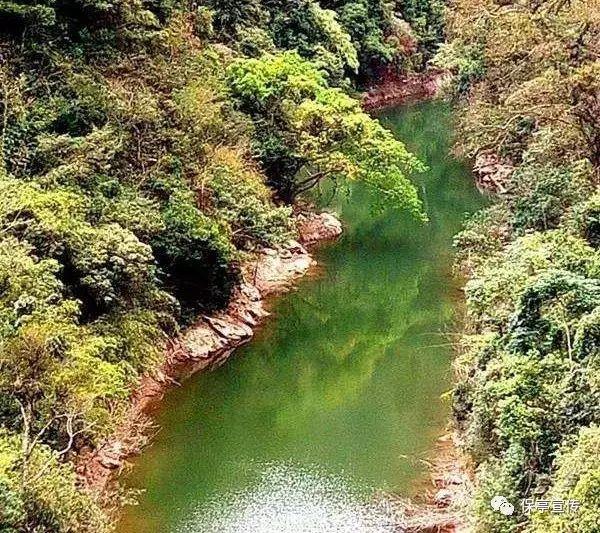 想要提高精子存活率，可以怎么做？